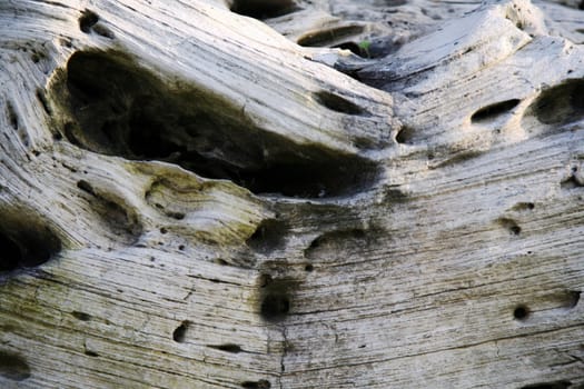 Wood craters