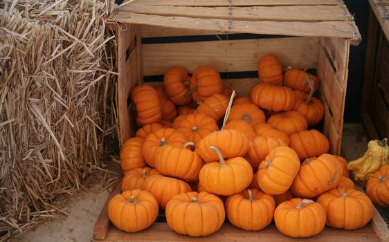 Wooden crate of miniature pumpkins next to a bale of straw