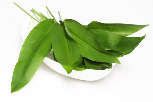 Fresh bear's garlic on bright background