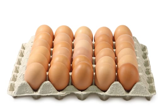 Lot of brown eggs in a row on a tray