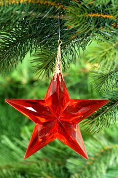 Christmas tree decoration on green background