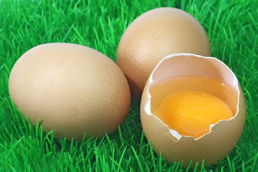 Brown eggs on a decorative grass meadow