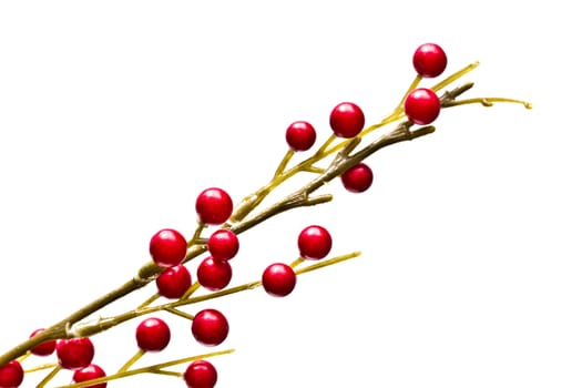 Red holly berries isolated on white background