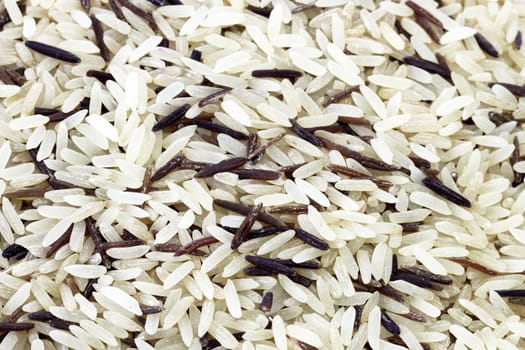 Long grain white and wild rice. Studio shot.