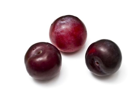 Three red plums isolated on white background