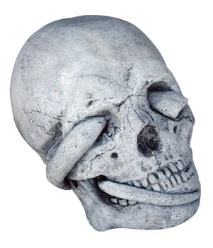 Concrete Skull with Snake through Eye Socket isolated with clipping path         