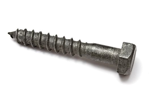 One big screw isolated on white background
