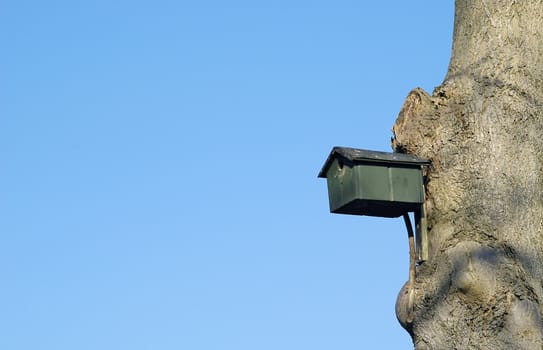 bird nesting box against clear blue sky