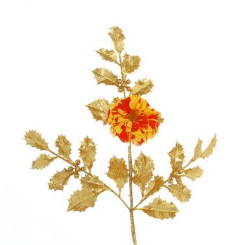 The Rose Oranges and Lemons on Gold Leaves isolated over white         