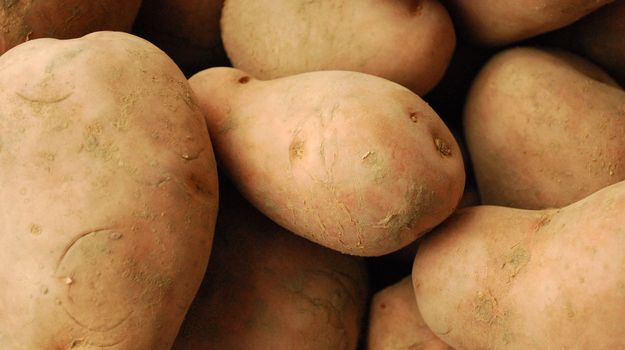 fresh potatoes close up of potatoes a buch of potatoes raw potatoes
