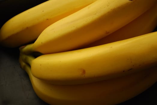 a hand of yellow bananas isolated on a black background
