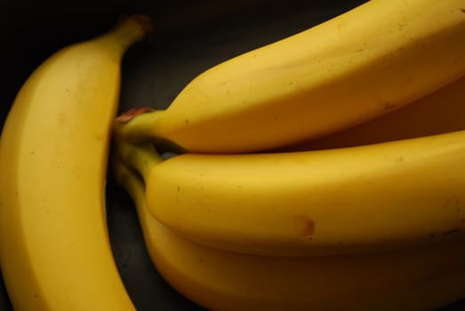 a hand of yellow bananas isolated on a black background
