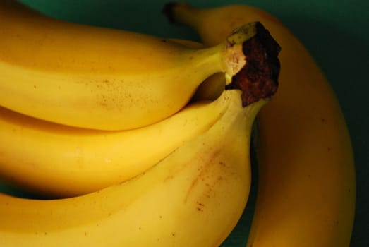a hand of yellow bananas isolated on a black background
