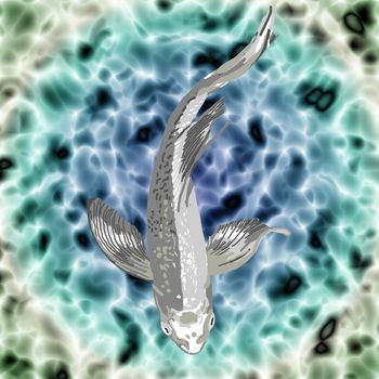 A beautiful silver butterfly koi swimming gracefully in a pond.