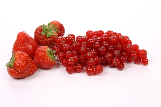 Composition of several fruits 
