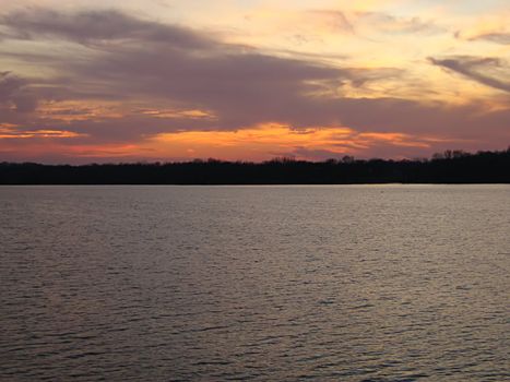 A photograph of a forest at twilight.