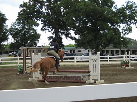 A photograph of a horse and rider.