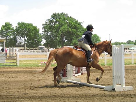 A photograph of a horse and rider.