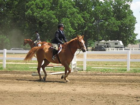 A photograph of a horse and rider.