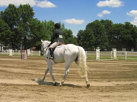 A photograph of a horse and rider.