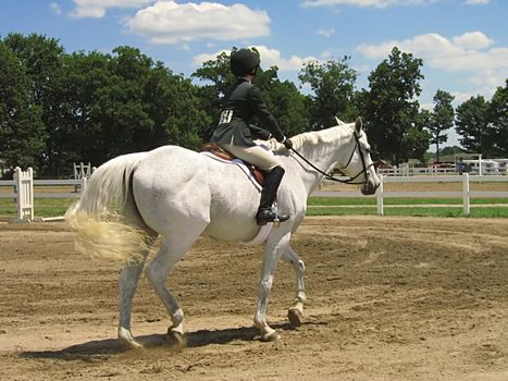 A photograph of a horse and rider.