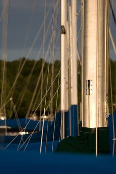 A group of Sailboat masts and rigging.
