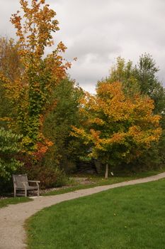 A winding pathway in the arboretum at the University of Guelph, with fall colors.