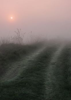 Early morning sunrise with mist on the field