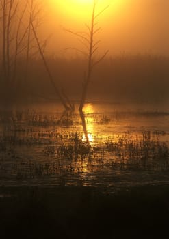 Polish landscape in November