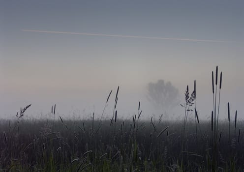 Polish landscape in November