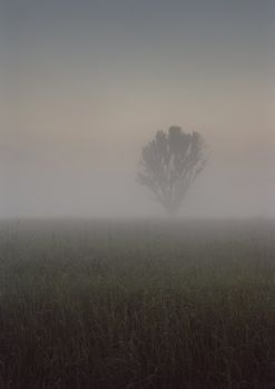 Polish landscape in November