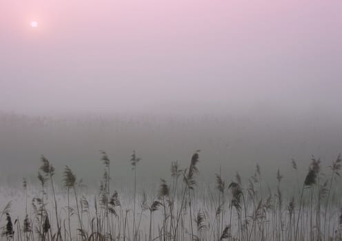 Polish landscape in November