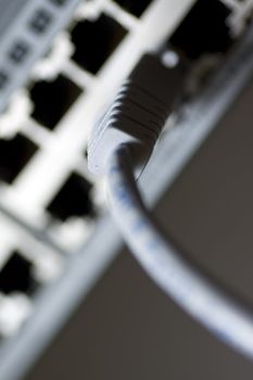 Network cable connected to a switch (selective focus)