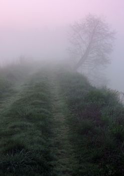 Early morning sunrise with mist on the field