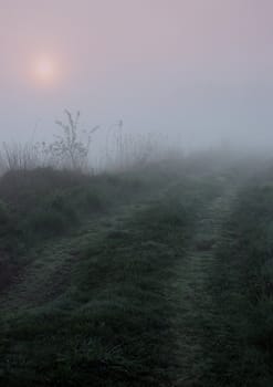 Early morning sunrise with mist on the field