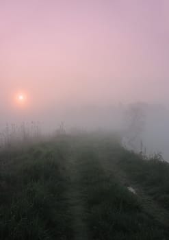 Early morning sunrise with mist on the field