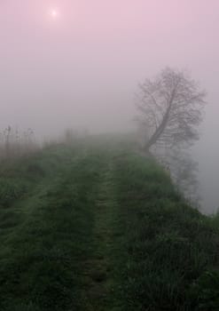 Early morning sunrise with mist on the field