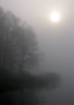 Early morning sunrise with mist on the field