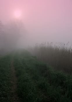 Early morning sunrise with mist on the field