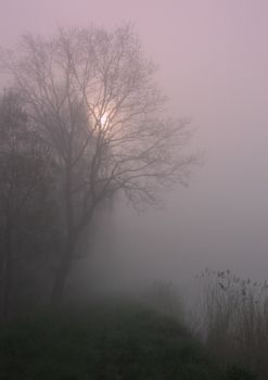 Early morning sunrise with mist on the field