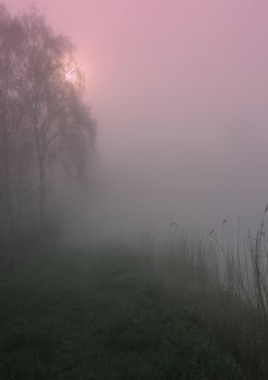 Early morning sunrise with mist on the field