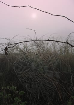 Early morning sunrise with mist on the field