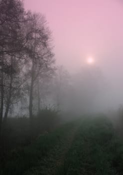 Early morning sunrise with mist on the field