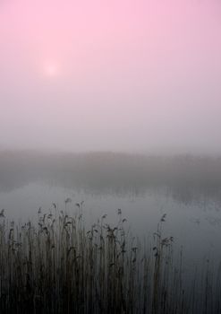 Early morning sunrise with mist on the field