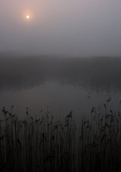 Early morning sunrise with mist on the field