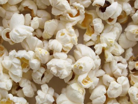 Pop corn maize useful as a background