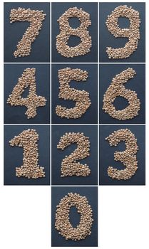 Numbers inclunding all digits 0 1 2 3 4 5 6 7 8 9 made with lentils