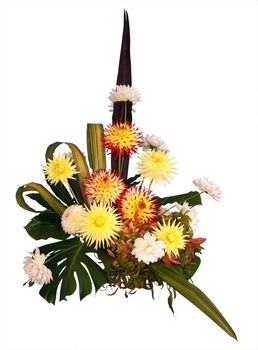 Dahlia Arrangement isolated with clipping path         