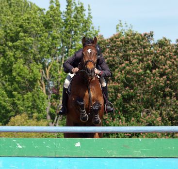 Horse & Rider over a jump        