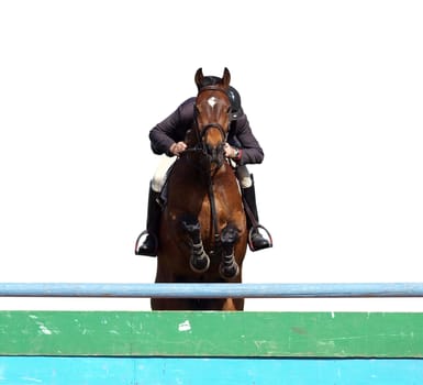 Horse & Rider over a jump        